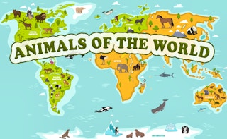Image Animals of the World
