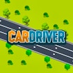 Car Driver