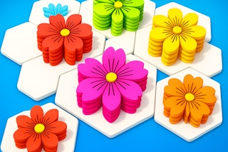 Image Flower Hexa Puzzle